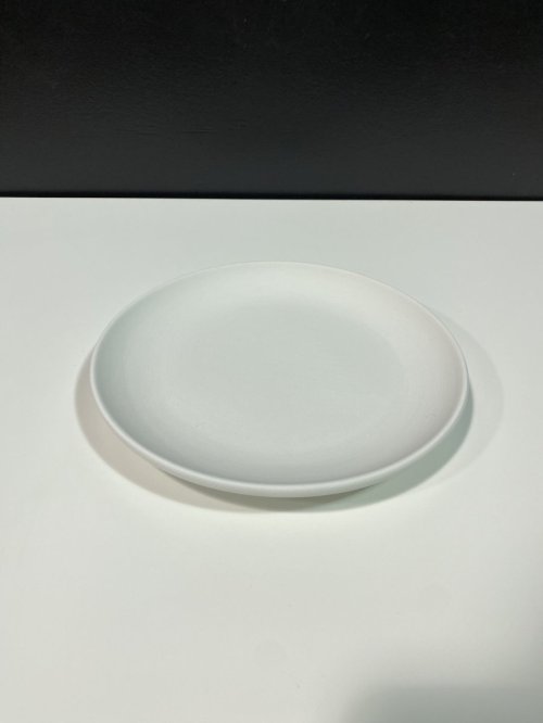 8&quot; Plate